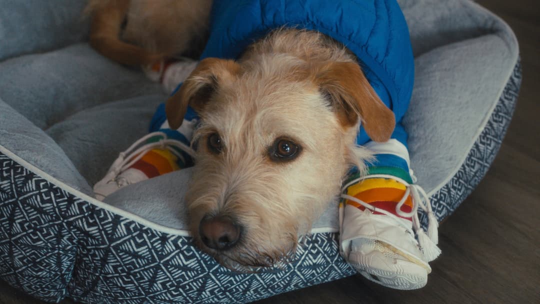 image is no available